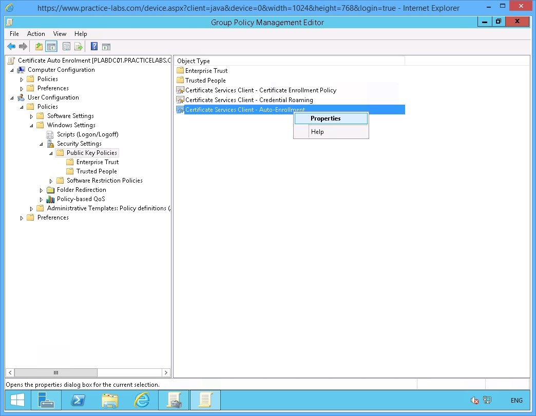 Practice Labs screenshot.